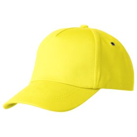 Бейсболка Bizbolka Convention