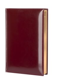 Ежедневник LUXE