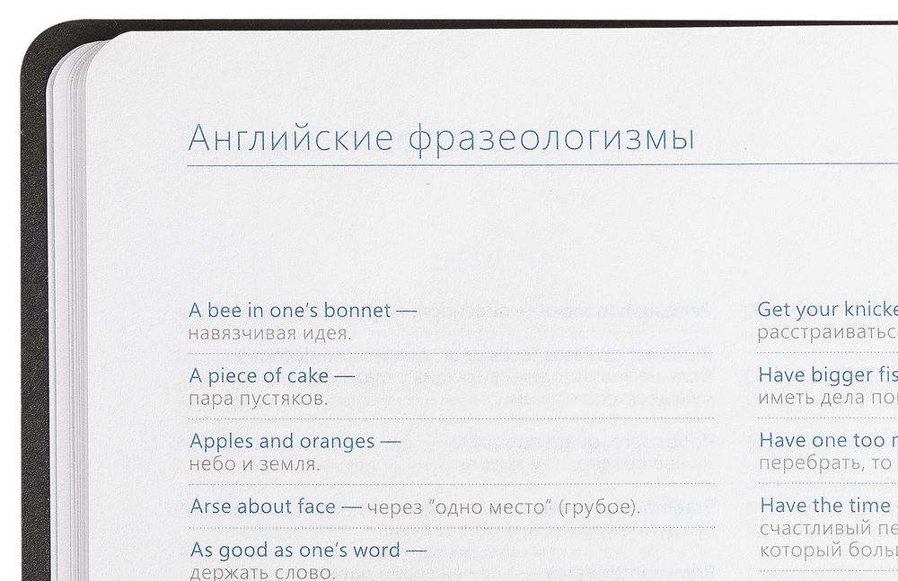 Миниатюра WWW (1000)