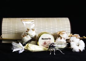 Набор Organic Cotton